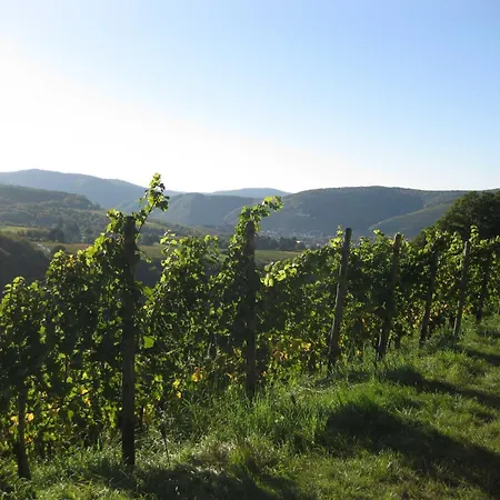 Bachem Bad Neuenahr-Ahrweiler