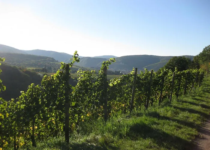 Bachem Bad Neuenahr-Ahrweiler