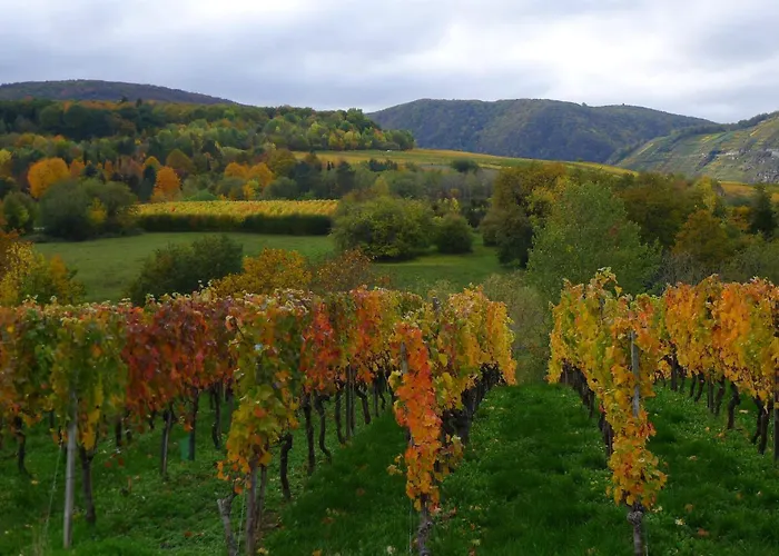 Bachem Apartamento Bad Neuenahr-Ahrweiler